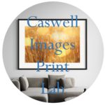 The Print Lab The Print Lab