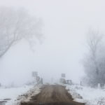 Winter in the South Winter in the South